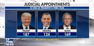 Trump's Judicial Appointments