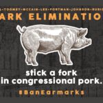 Earmark Elimination Act