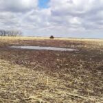 A mud puddle located on the farm of Arlen and Cindy Foster