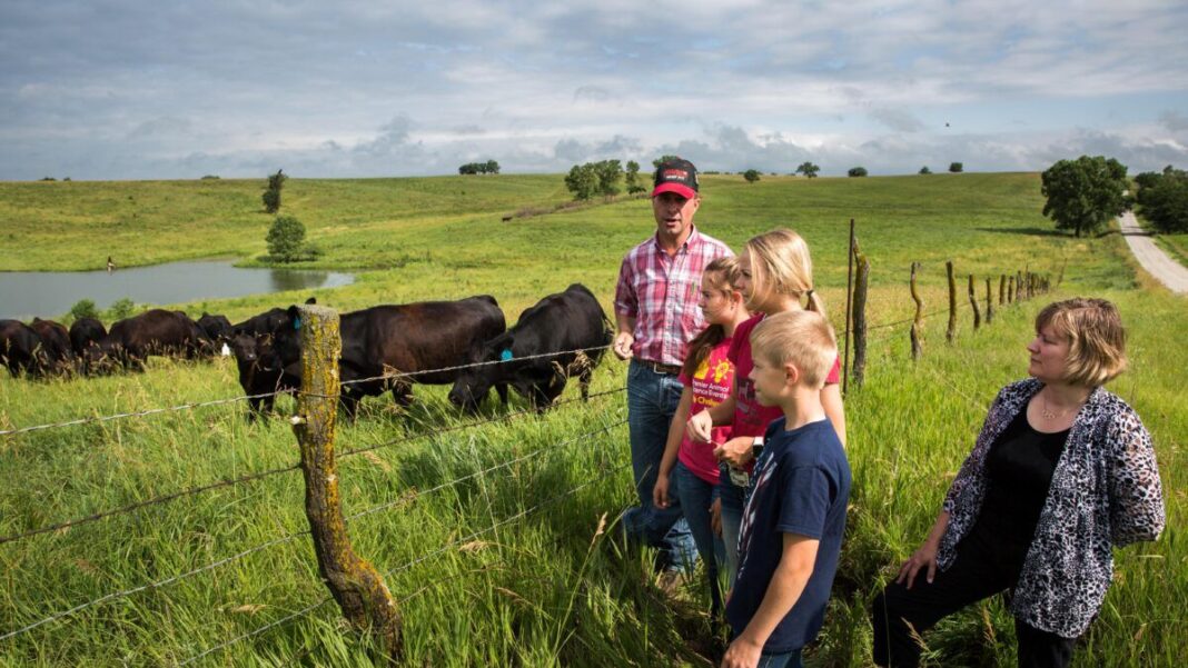 Cattle farmer Rod Christen