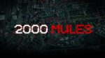 Dinesh D'Souza's Film 2000 Mules