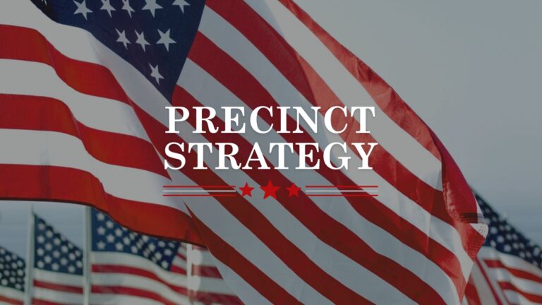 Precinct Strategy - The Thinking Conservative