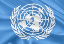 United Nations Flag