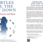 Turtles All The Way Down By Anonymous
