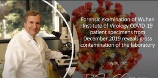 Forensic examination of Wuhan Institute of Virology COVID-19 patient specimens reveals contamination