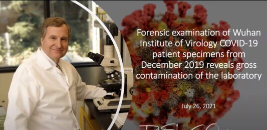 Forensic examination of Wuhan Institute of Virology COVID-19 patient specimens reveals contamination