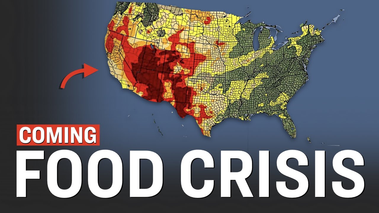 A List Of 33 Things We Know About The Coming Food Shortages Facts