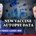 New Vaccine Autopsy Data