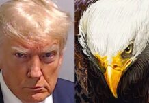 Trump The Eagle Mugshot