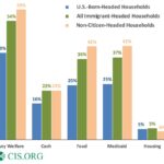 Welfare Use by Nativity