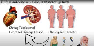 CKM syndrome, Cardiovascular-Kidney-Metabolic syndrome: symptoms, risks and treatment