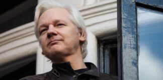 WikiLeaks founder Julian Assange accepts US plea deal