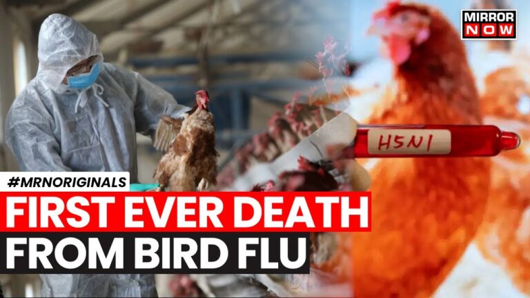 Man With First Human Case of H5N2 Bird Flu Died in Mexico, WHO Confirms