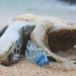 POWERFUL VIDEO: Why We Need to Stop Plastic Pollution in Our Oceans FOR GOOD | Oceana