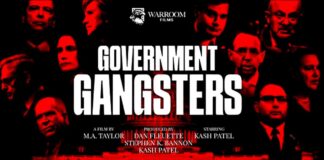 Government Gangsters: The Movie