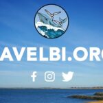 Save Long Beach Island