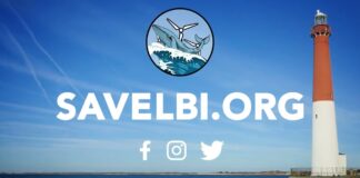 Save Long Beach Island