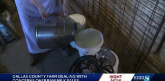 Bird flu fear will not stop Dallas County dairy from selling raw milk