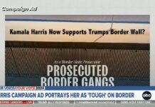 Candidate Kamala Harris Supporting Trump's Border Wall?