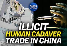 Chinese Firm Accused of Illegally Sourcing Bodies | China in Focus