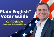 Plain English voter Guide 2024