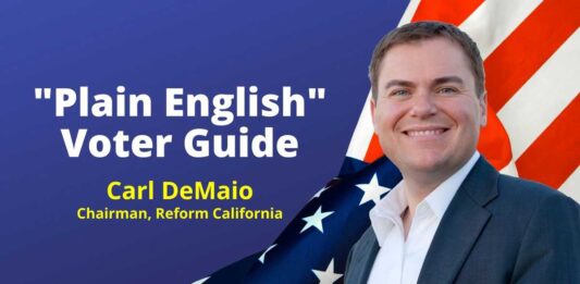 Plain English voter Guide 2024