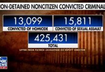 425,431 Illegal Immigrant Convicted Criminals Roaming America