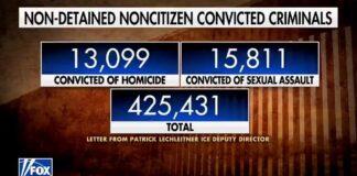 425,431 Illegal Immigrant Convicted Criminals Roaming America