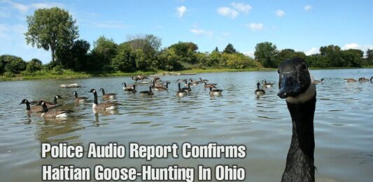 Haitians Goose-Hunting In Springfield Ohio - Police Audio & Report