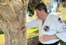 Terry Wilson, Martial Artist and Stroke Victim