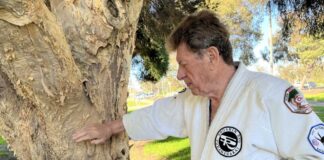 Terry Wilson, Martial Artist and Stroke Victim