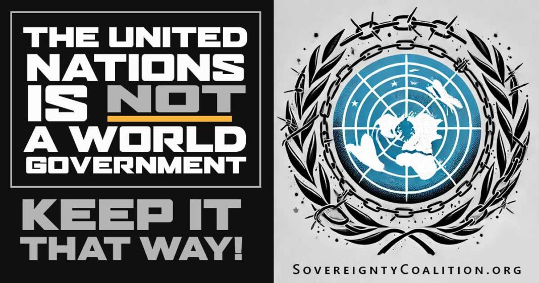 The United Nations is NOT a World Government - Keep It That Way