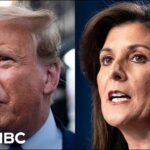 Nikki Haley pans Trump world for 'bromance and masculinity stuff'