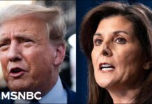 Nikki Haley pans Trump world for 'bromance and masculinity stuff'