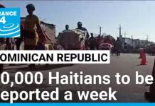 Dominican Republic says will deport 10,000 undocumented Haitians a week • FRANCE 24 English