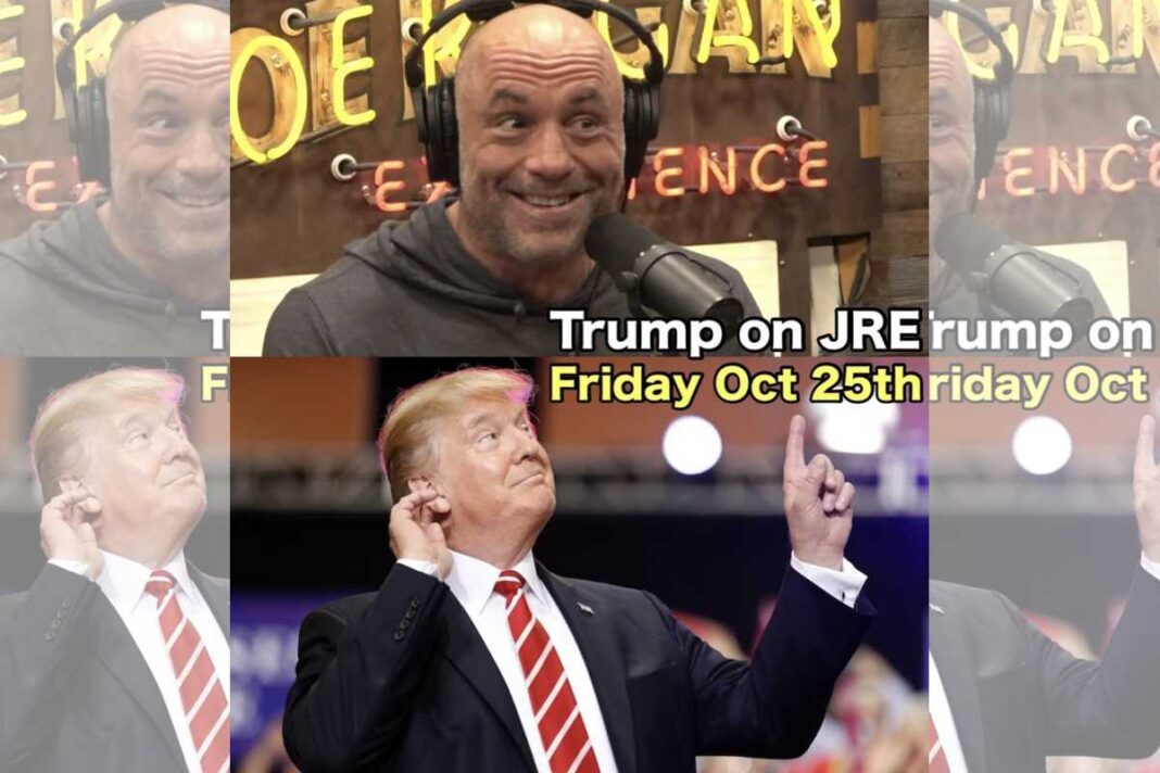 Here we go! says Joe Rogan about Trump's appearance on the Joe Rogan Experience on Friday Oct 25, 2024