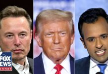 Trump names Elon Musk and Vivek Ramaswamy to lead Department of Government Efficiency