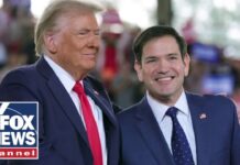 Trump nominates Marco Rubio for Secretary of State