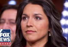 Trump picks Tulsi Gabbard to be Director of National Intelligence