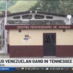 TBI says dangerous Venezuelan gang is in "every major city" in Tennessee