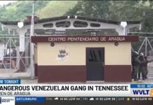 TBI says dangerous Venezuelan gang is in "every major city" in Tennessee