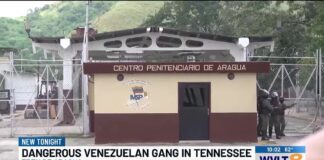 TBI says dangerous Venezuelan gang is in "every major city" in Tennessee