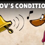 Pavlov’s Classical Conditioning