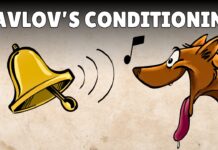 Pavlov’s Classical Conditioning