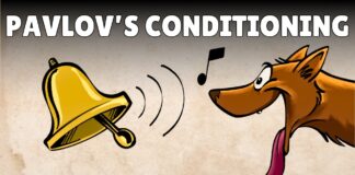 Pavlov’s Classical Conditioning