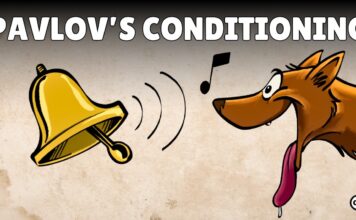 Pavlov’s Classical Conditioning