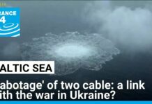 'Sabotage' suspected after two Baltic Sea cables cut • FRANCE 24 English