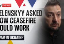 Zelenskyy suggests he's prepared to end Ukraine war in return for NATO membership