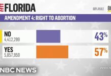 Florida's Amendment 4 on abortion fails to pass