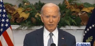 Biden cheers Assad toppling, offers support for Syrian people